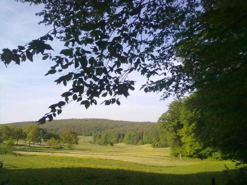 Ferienwohnungen Zeltnerhof Breitenbrunn  Buitenkant foto